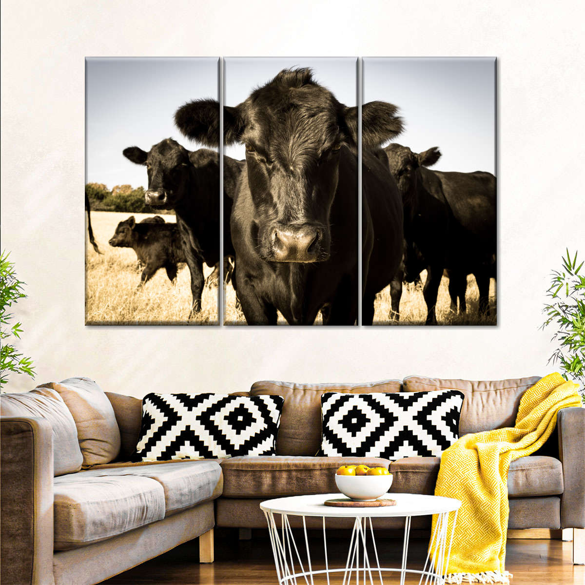 Black Angus Cattle Wall Art