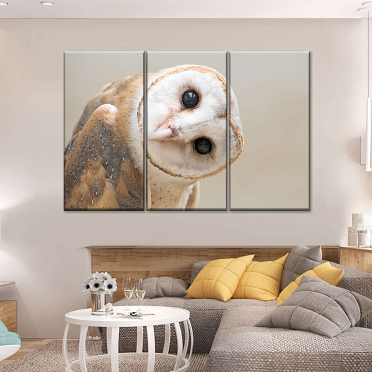 Barn Owl Gaze Wall Art