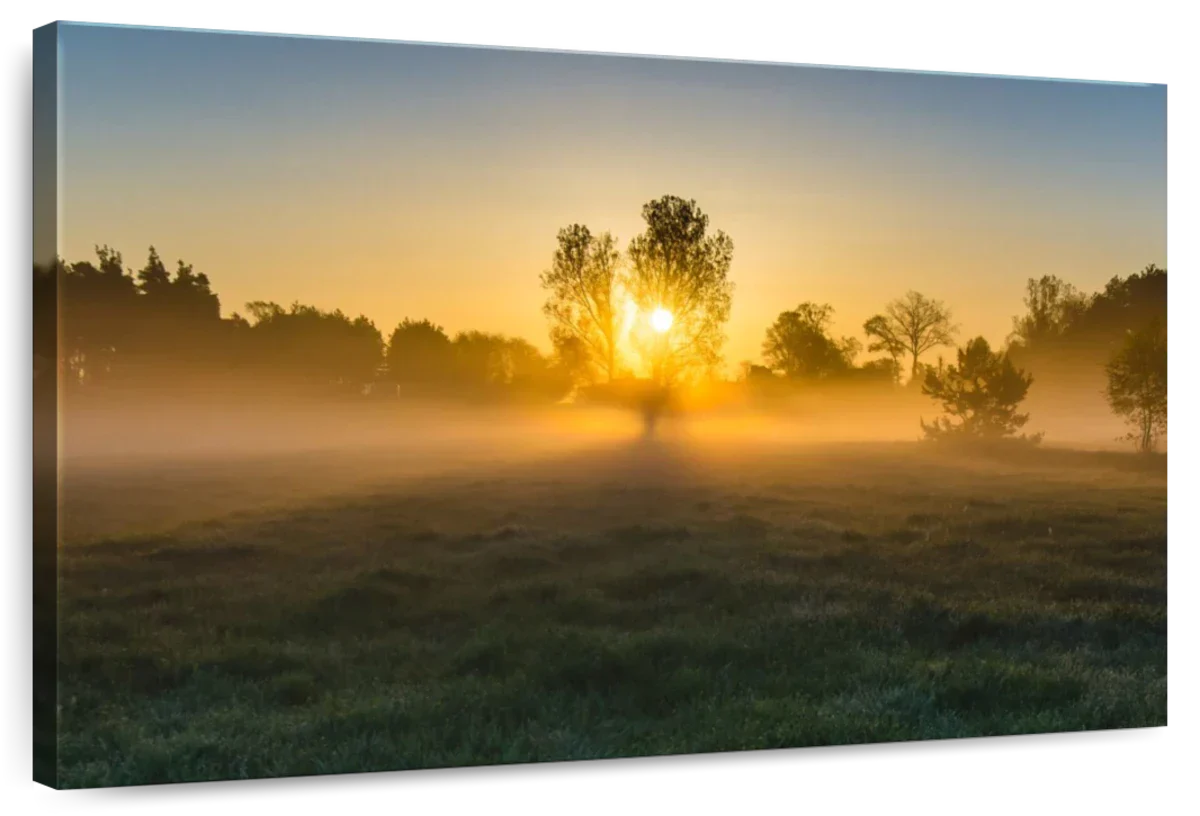 Misty Meadow At Sunrise Wall Art