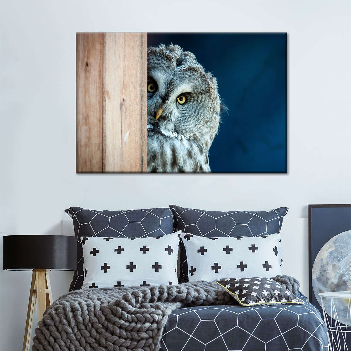 Peeking Owl Wall Art