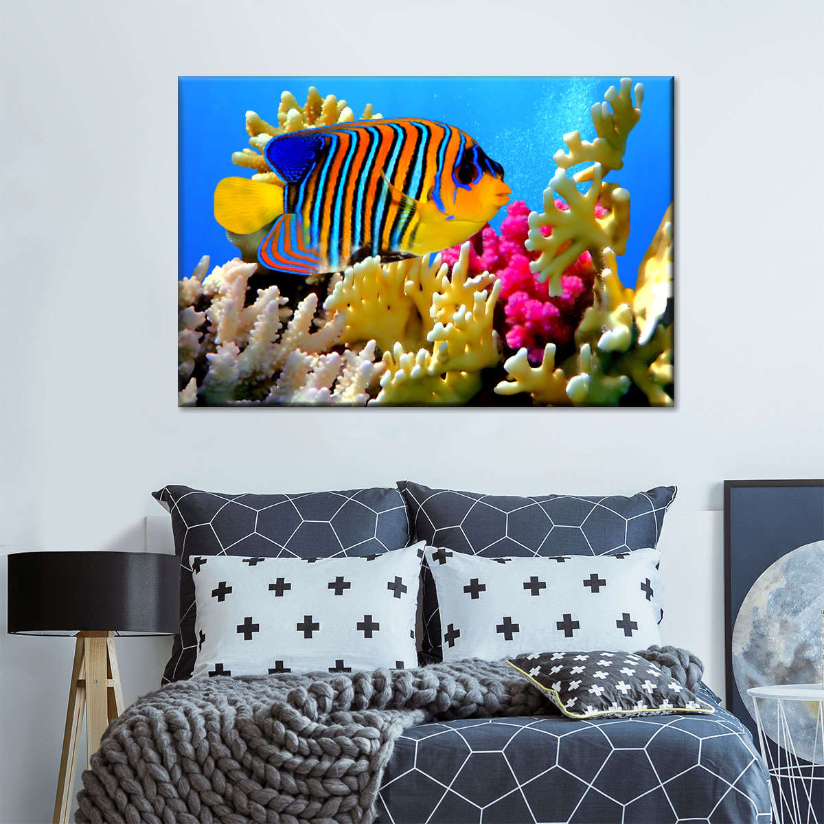 Queen Angelfish Wall Art