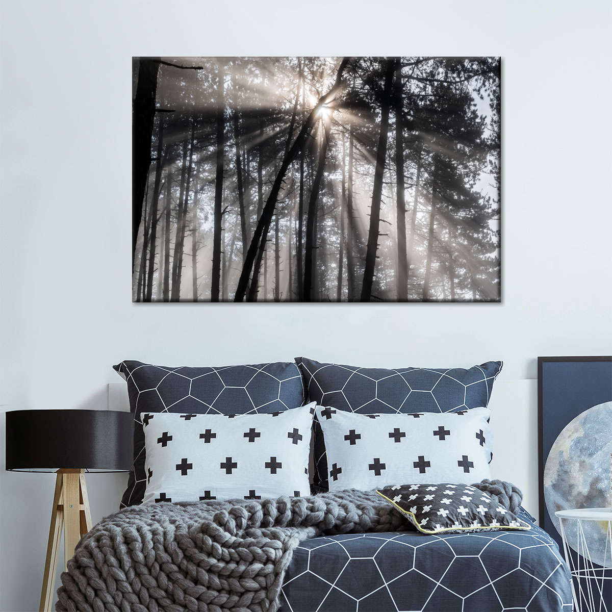 Forest Sun Beam Wall Art