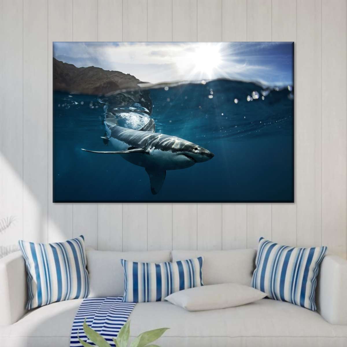 Shark Sunshine Wall Art