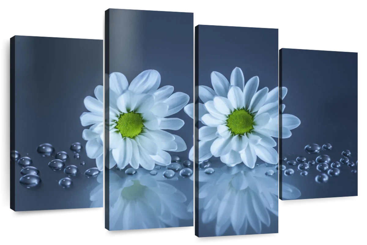 White Daisies Wall Art