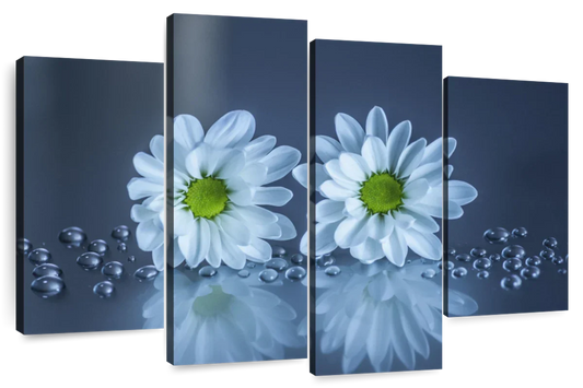 White Daisies Wall Art