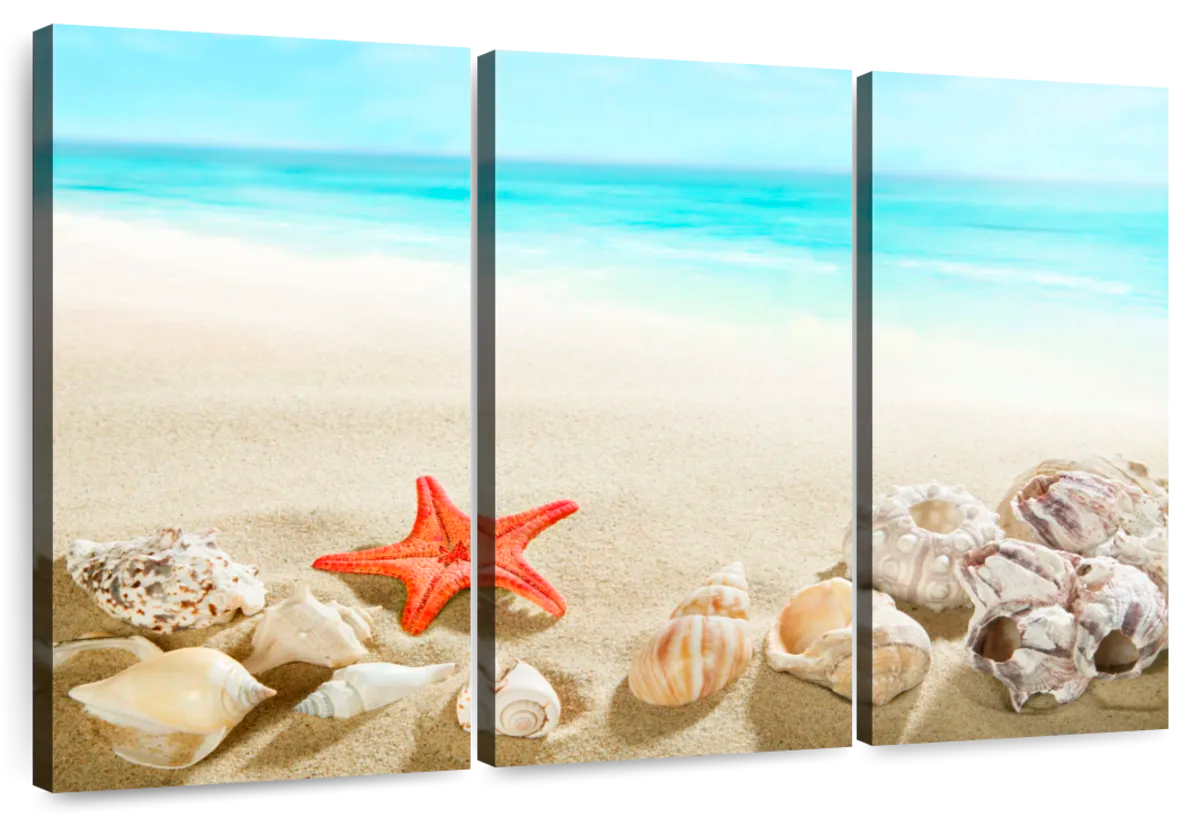 Seashells At The Beach Wall Art