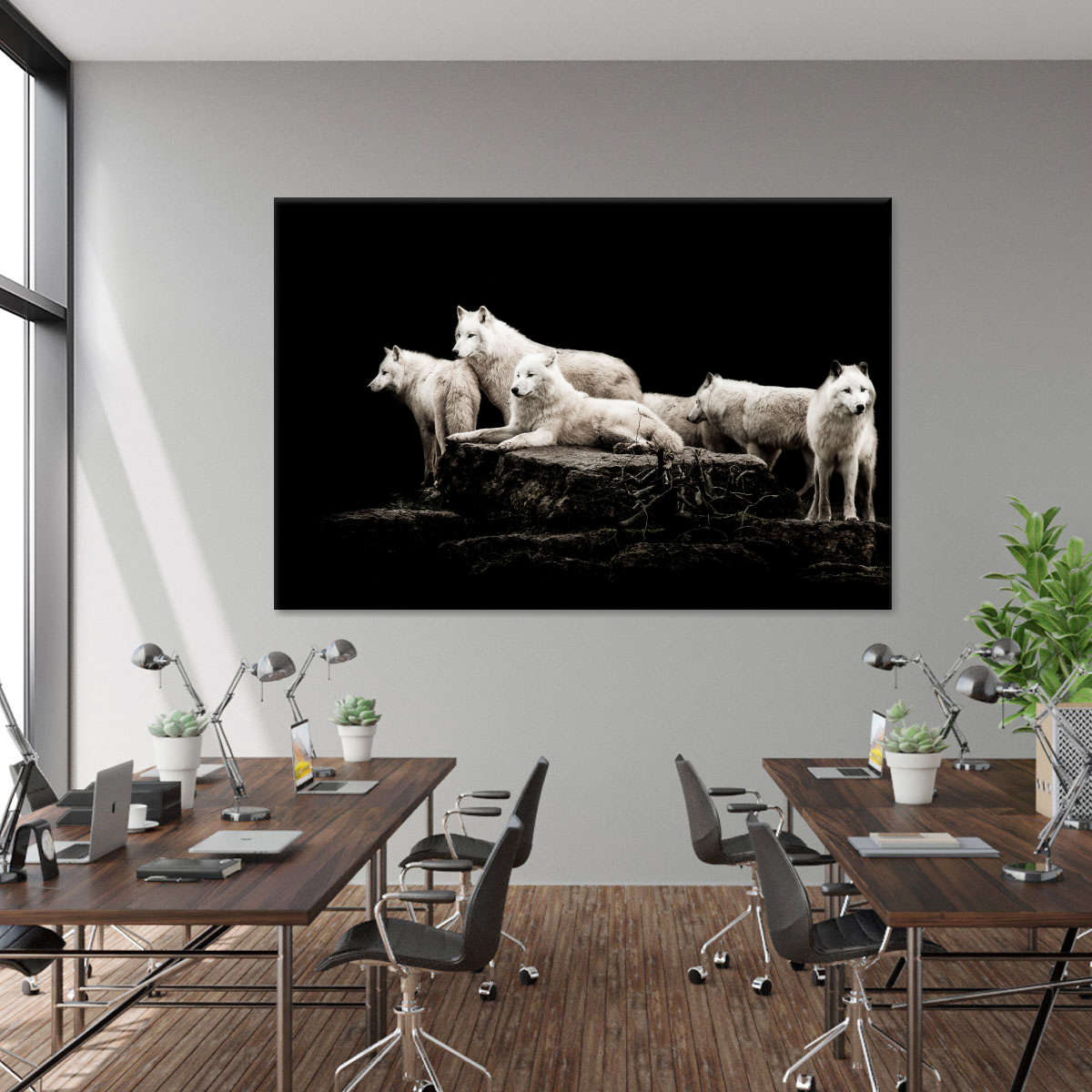 White Wolves Wall Art