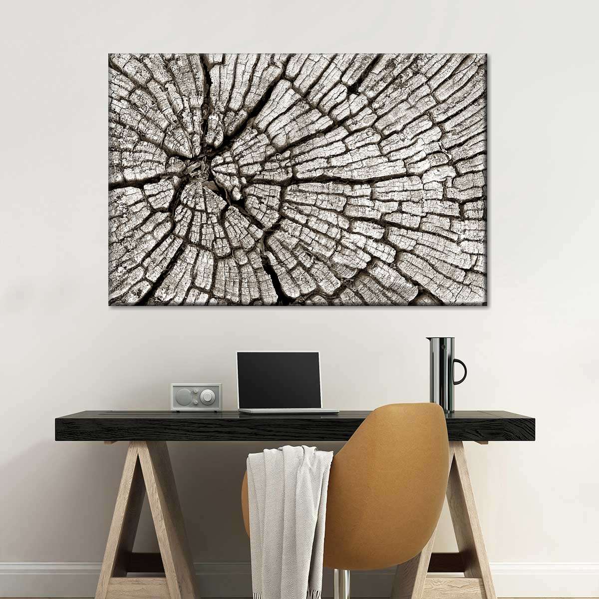 Tree Stump Wall Art