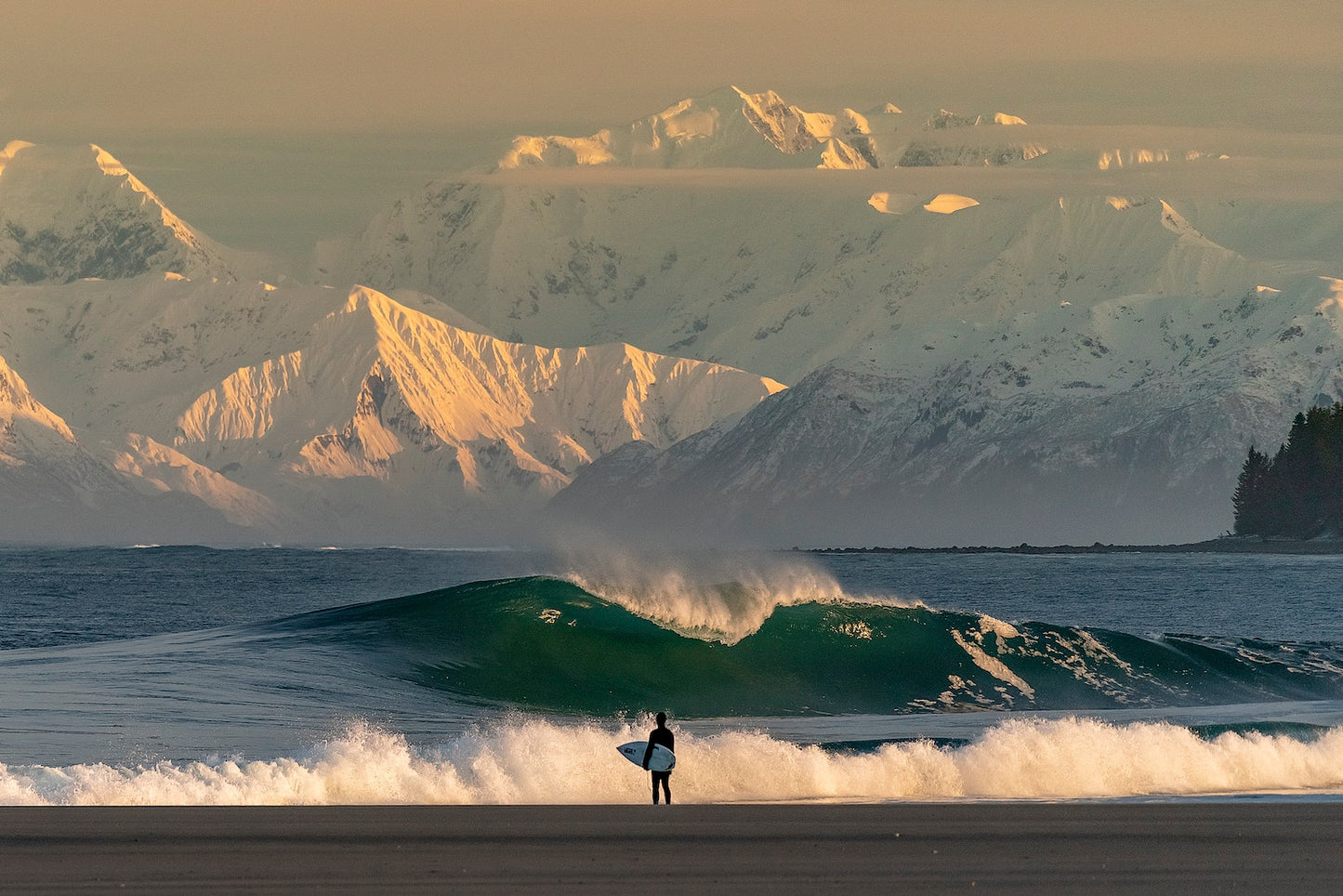 Surf Porn