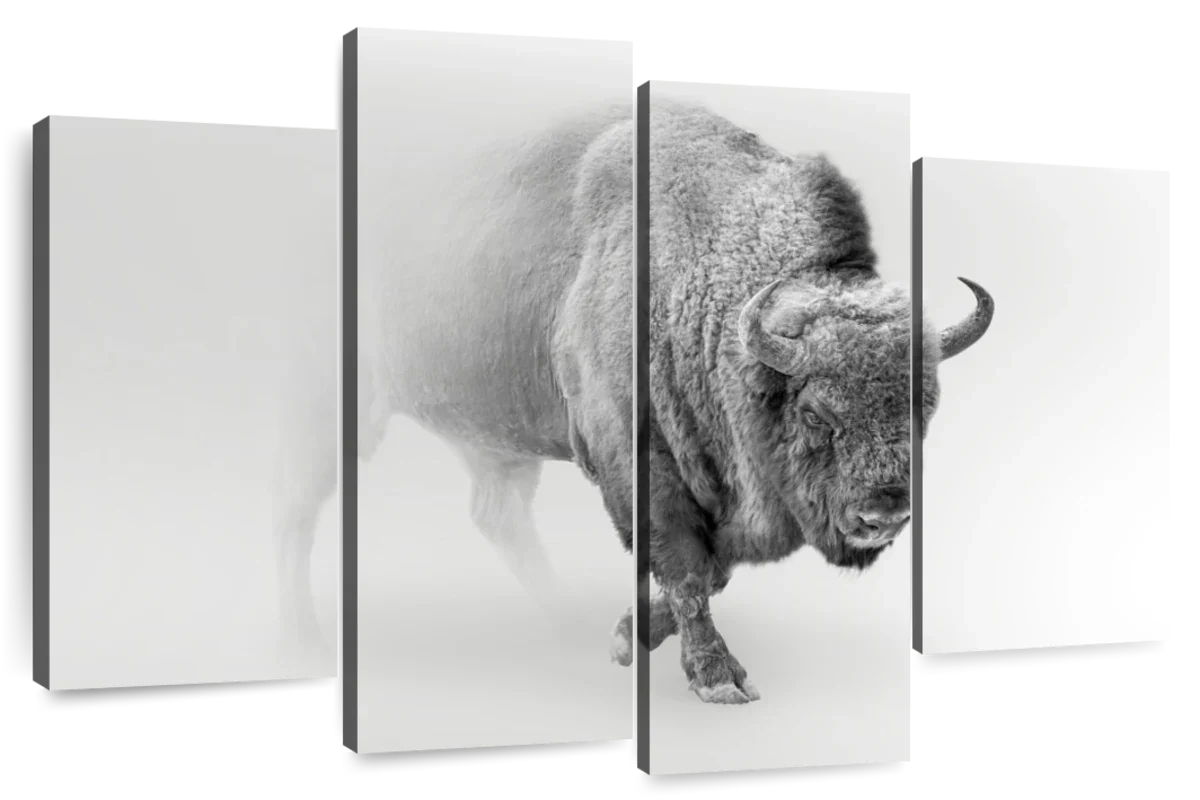 Wild Bison Wall Art