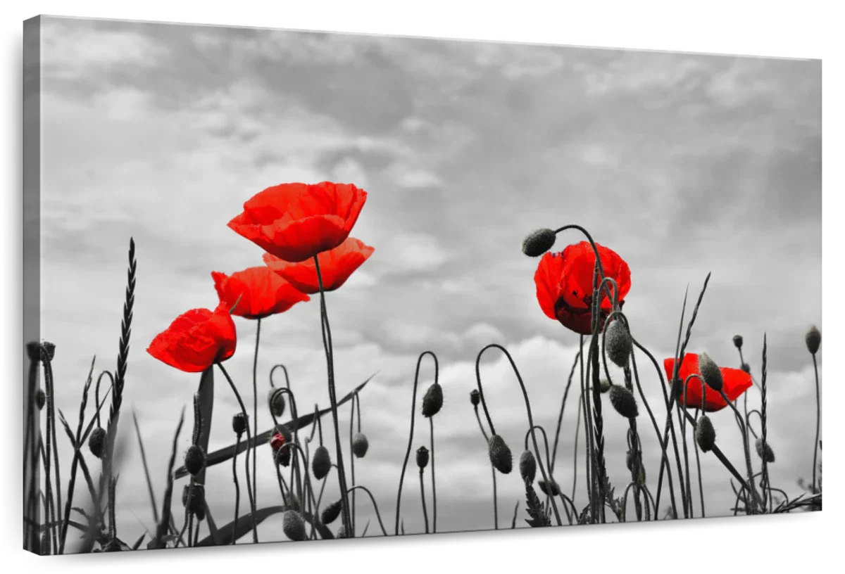 Pop Red Poppies Wall Art