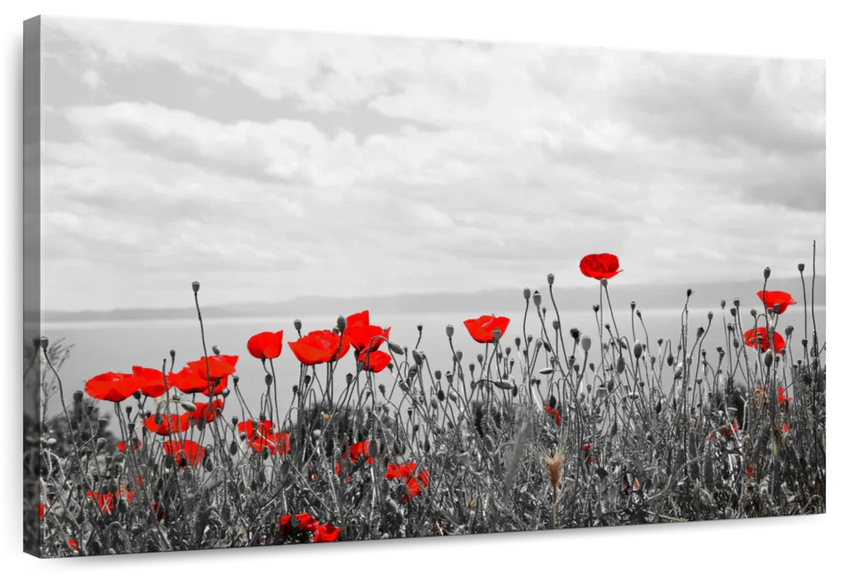 Red Poppy Field Pop Wall Art