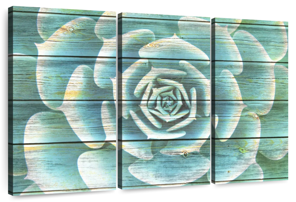 Succulent Plant Bloom Wall Art