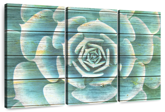 Succulent Plant Bloom Wall Art