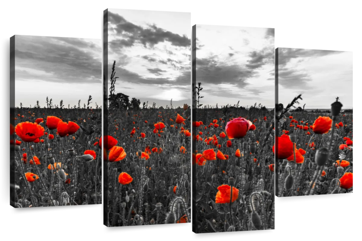 Poppy Field At Dusk Pop Wall Art