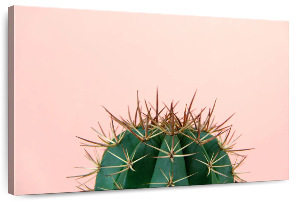 Simple Cactus Wall Art