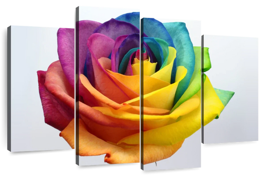 Rainbow Rose Wall Art