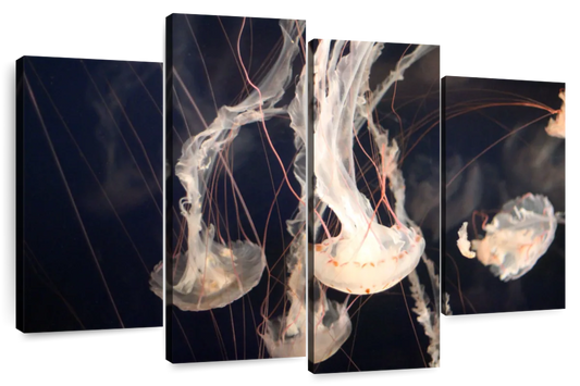 Light Of Jellyfish Wall Art