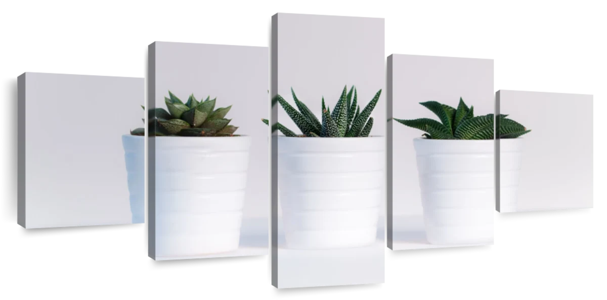 Three Succulents Wall Art