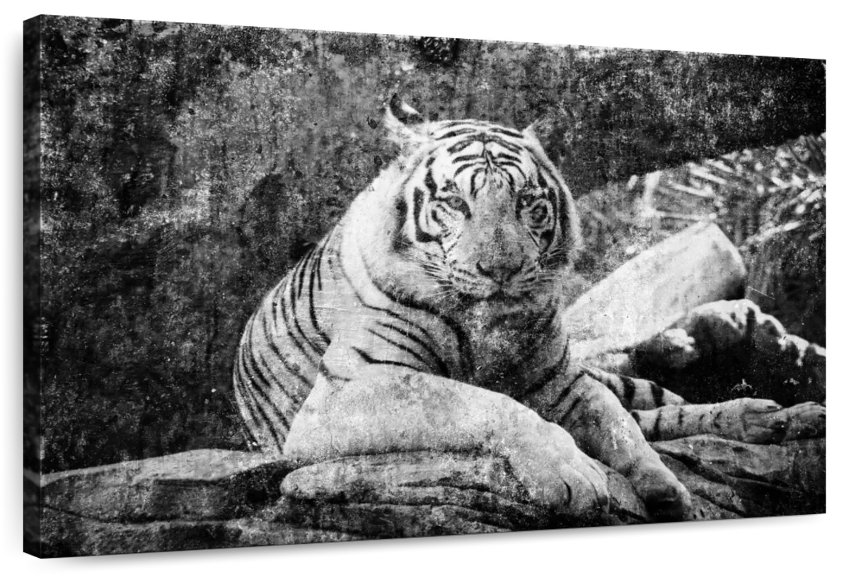 Textured White Tiger Wall Art