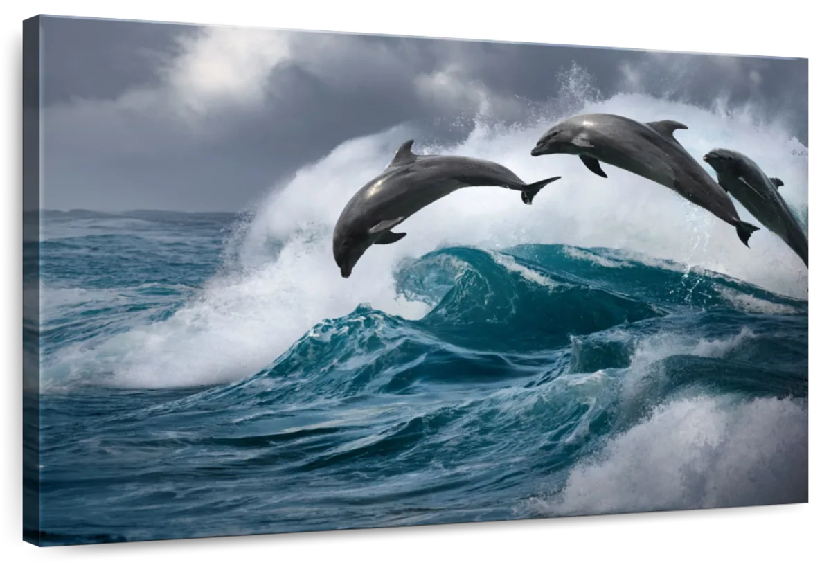 Leaping Dolphins Wall Art