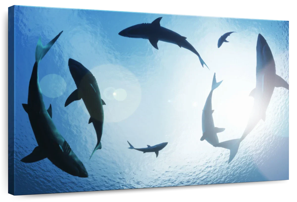 School Of Sharks Wall Art