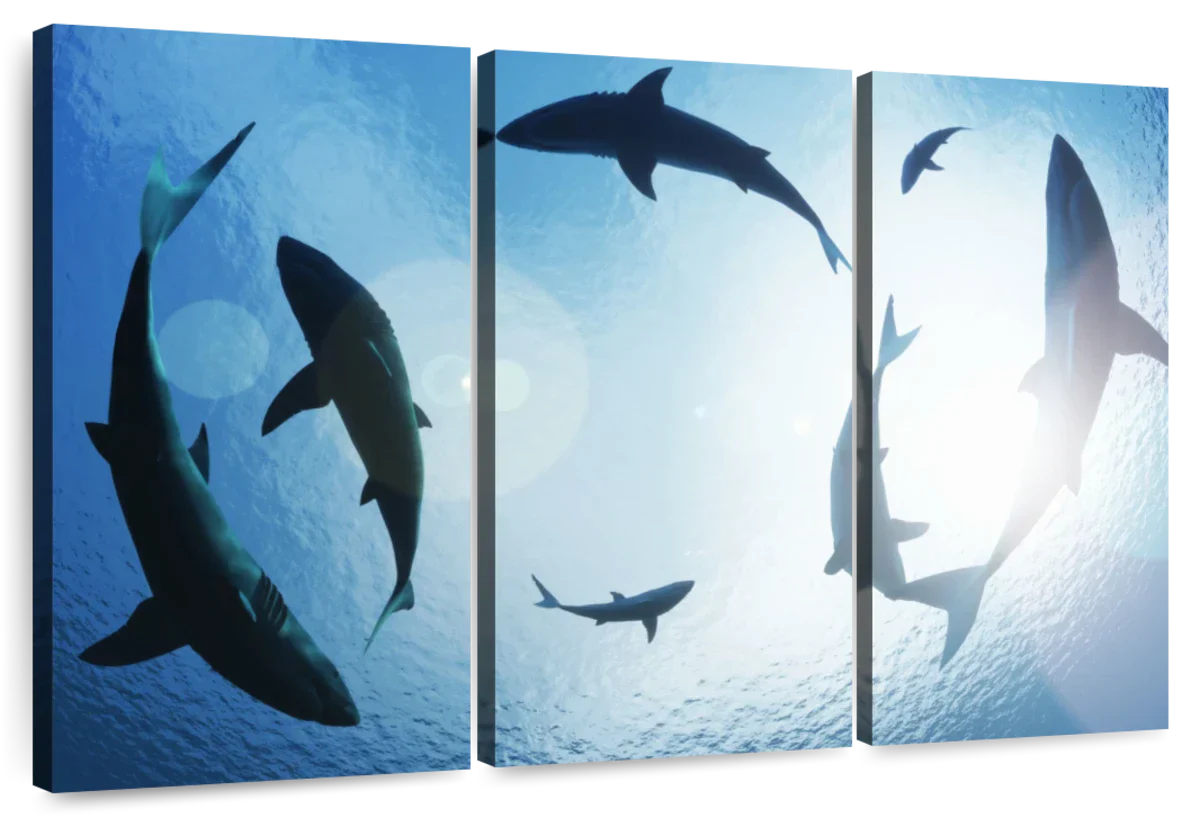 School Of Sharks Wall Art