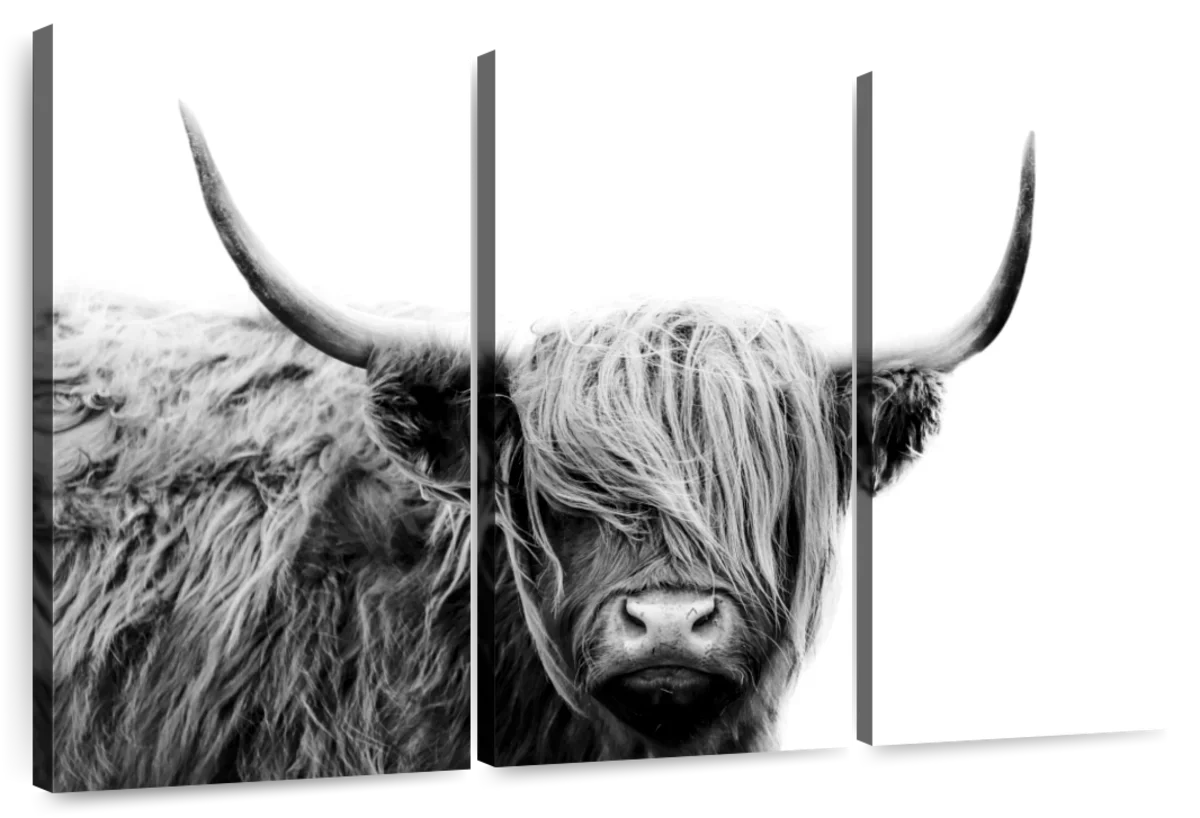 BW Highland Cow Wall Art