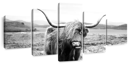 Highland Bull Wall Art