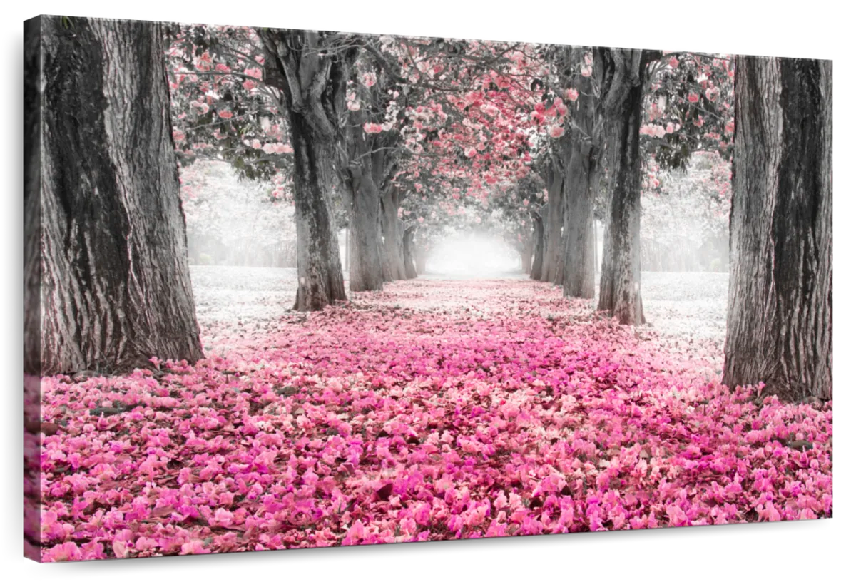 Cherry Blossom Path Pop Wall Art