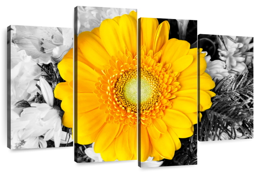 Gerbera Daisy Pop Wall Art