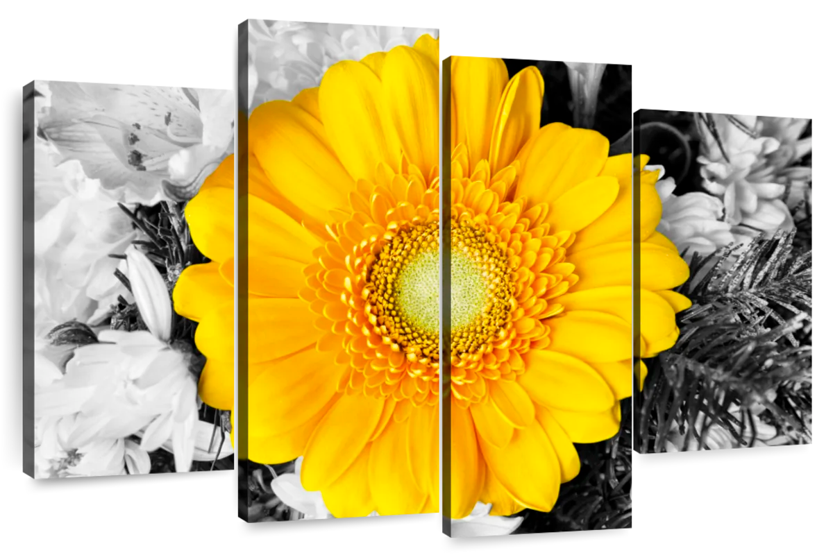 Gerbera Daisy Pop Wall Art