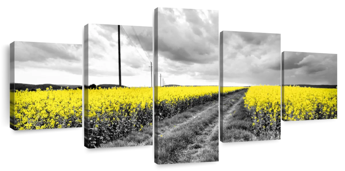 Pop Yellow Flower Field Wall Art