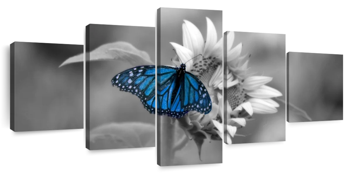 Butterfly Pop Wall Art