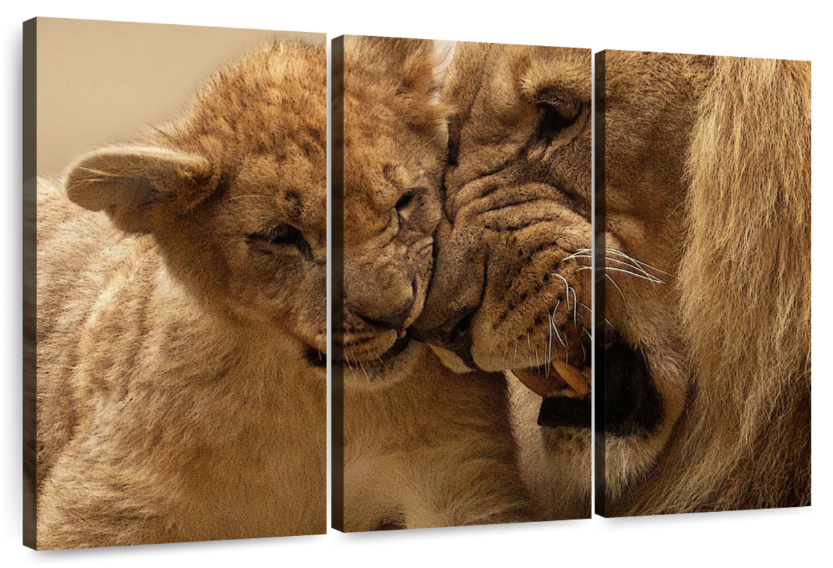 Bonding Lions Wall Art