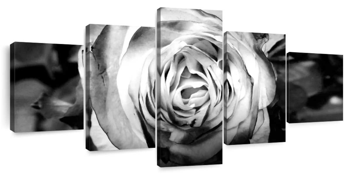 Monochromatic Rose Wall Art