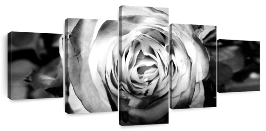 Monochromatic Rose Wall Art