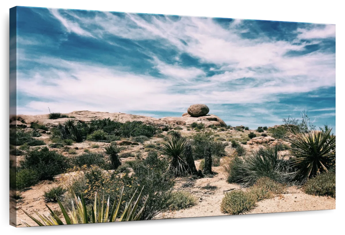 Cactus Desert Wall Art