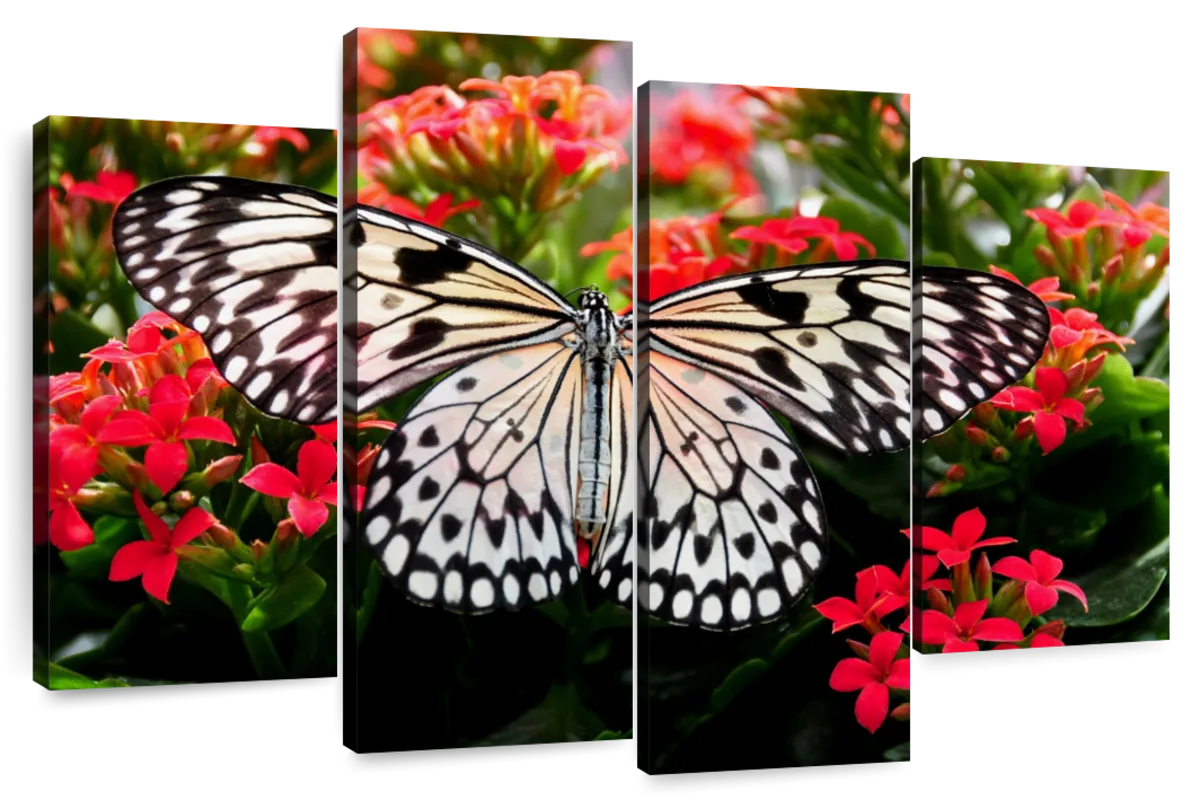 Pretty Butterfly Wall Art