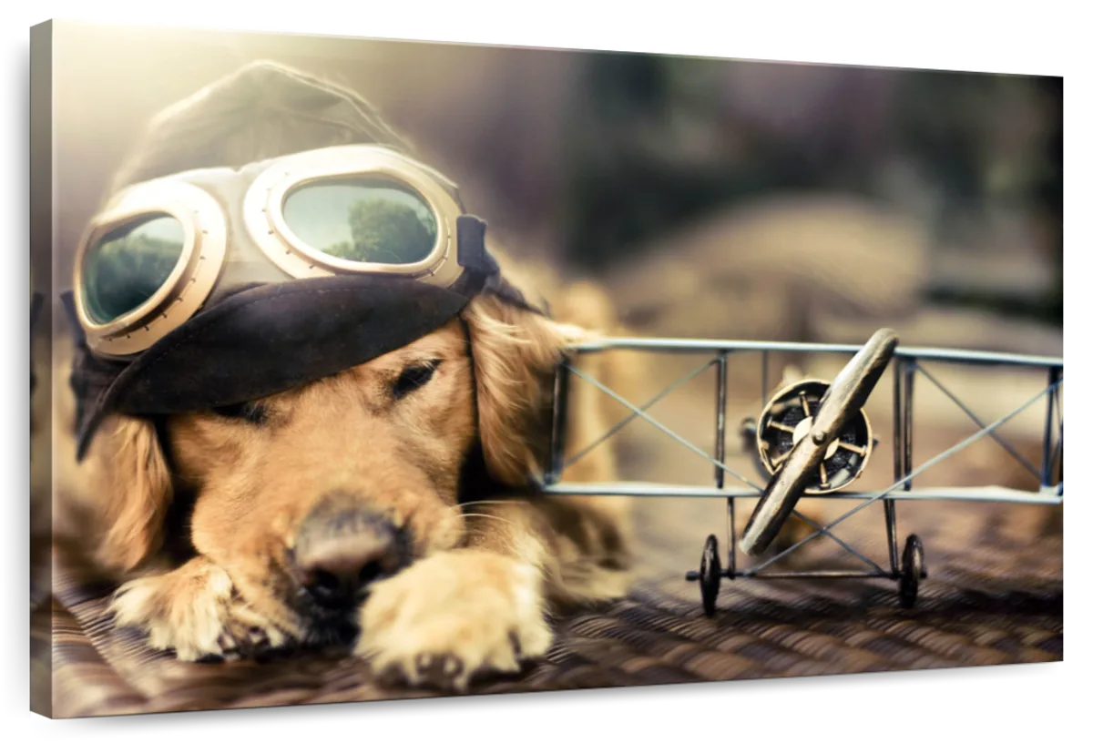 Dog Pilot Wall Art