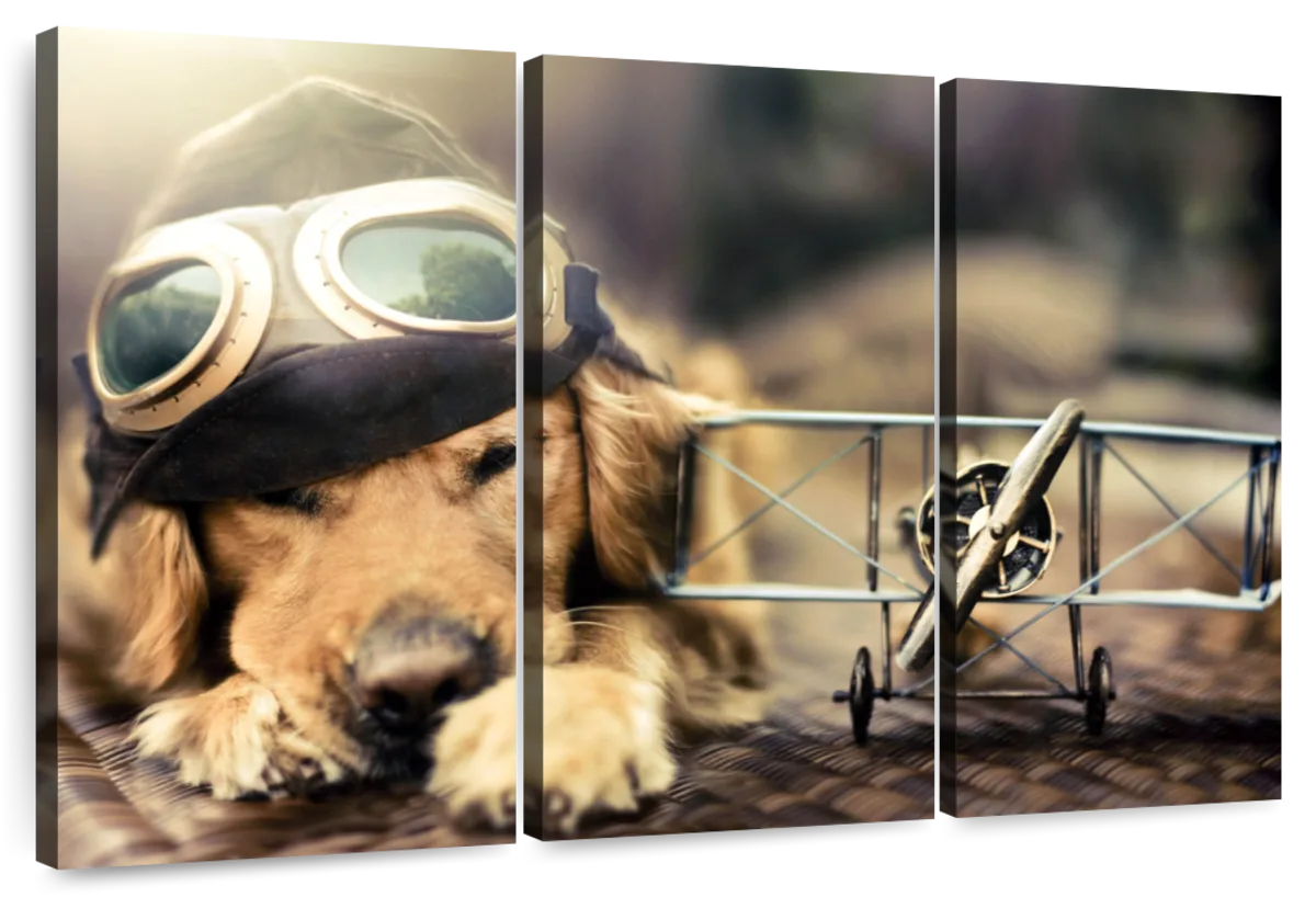 Dog Pilot Wall Art