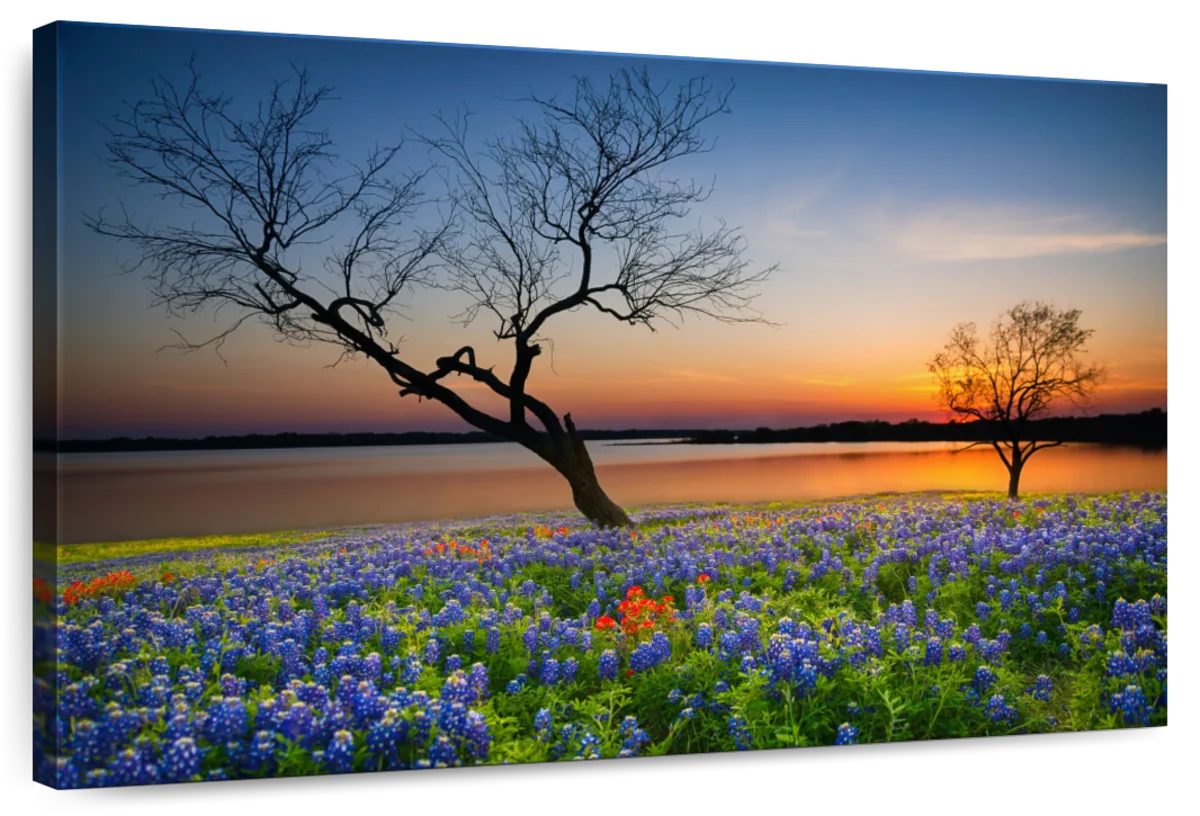 Texas Sunset Wall Art