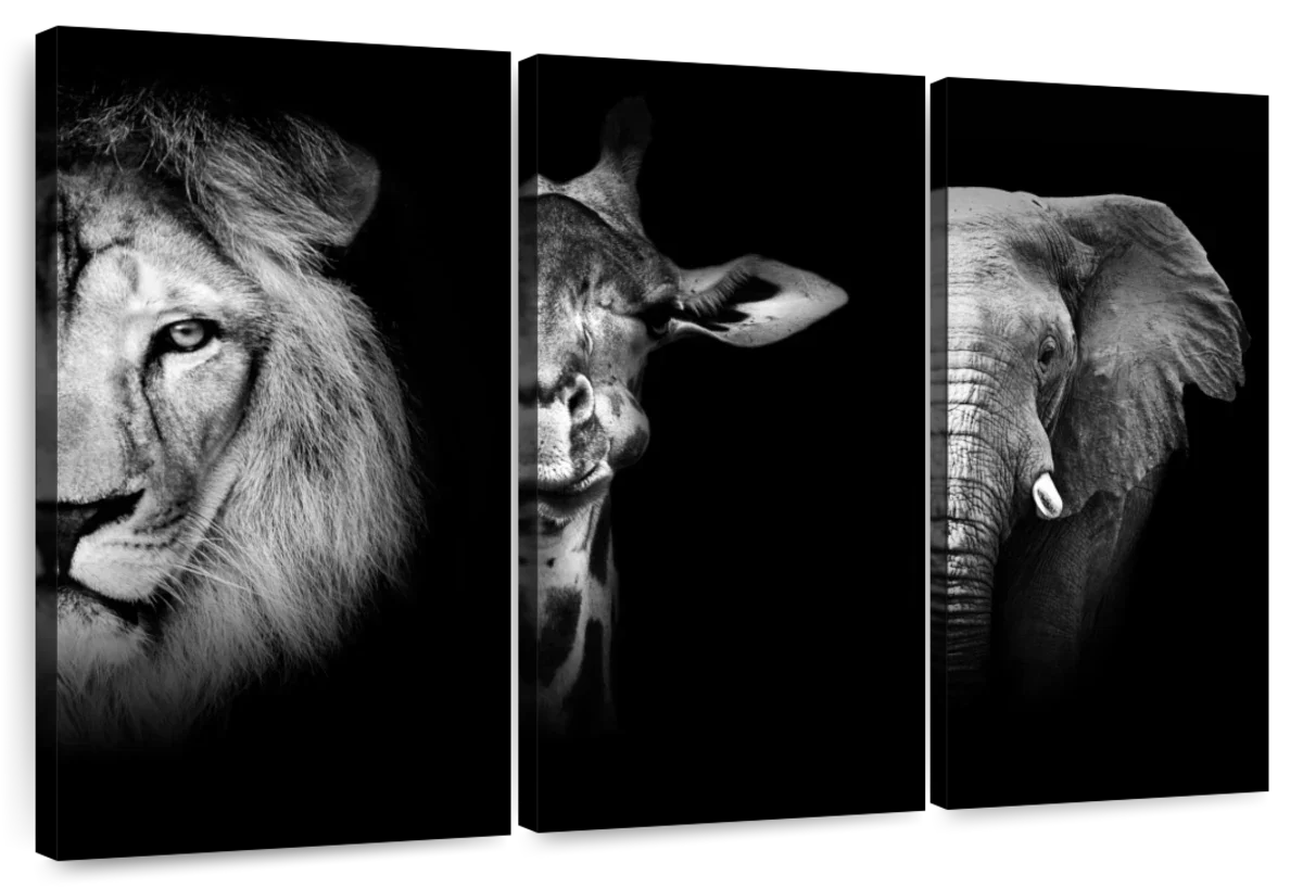 Safari Animal Portraits Wall Art