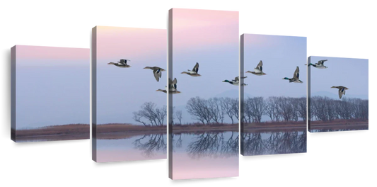 Pink Sky Over Ducks Wall Art