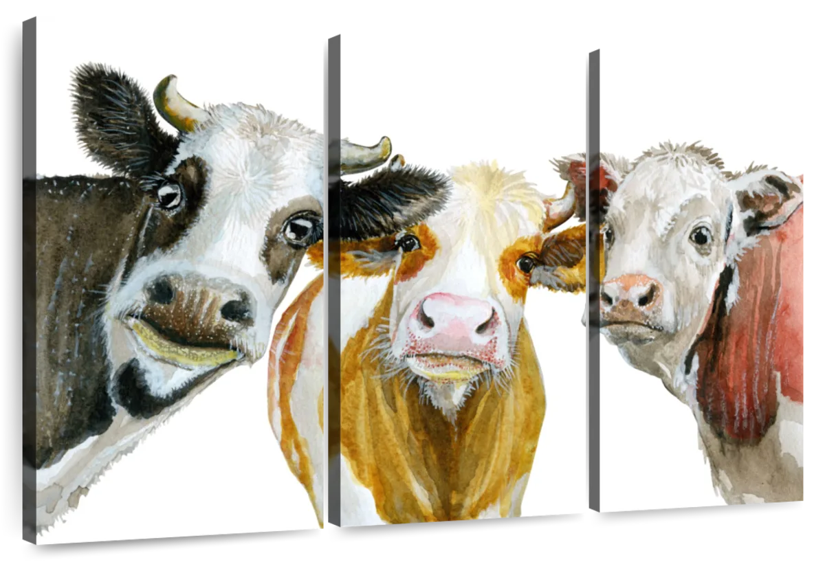 Cows Wall Art