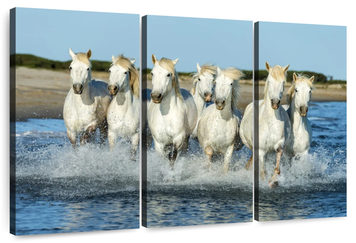 7 Horses Wall Art