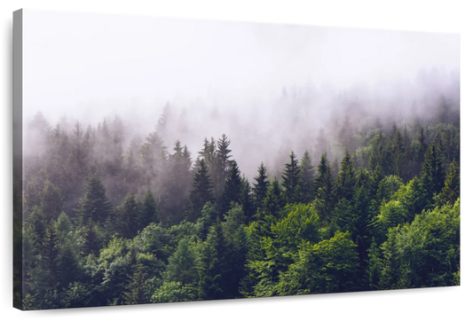 Misty Pine Forest Wall Art