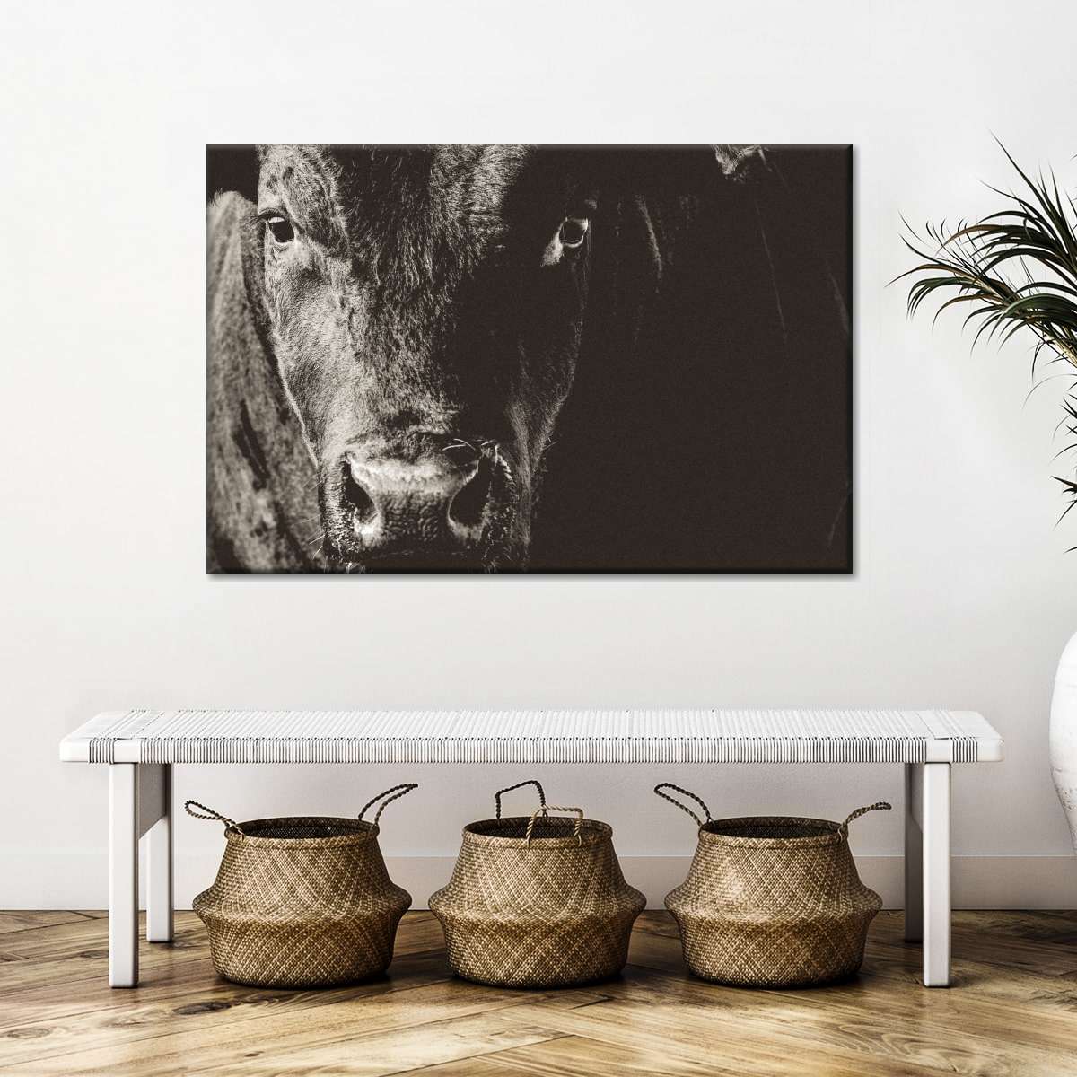 Black Angus Bull Wall Art