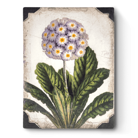 First Bloom - RETIRED Memory Block Tile