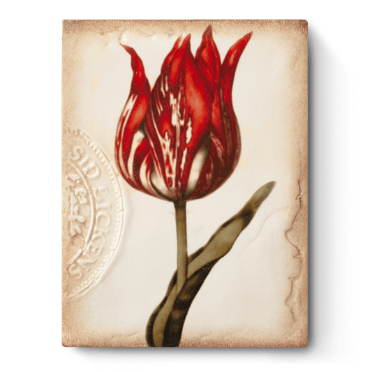 Scarlet - RETIRED Memory Block Tile